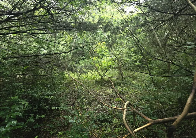 Photo 3 of Land for sale at 1069 Conestoga Trl, Livingston, TX 77351 | MLS# 71291088 | Listing updated on 2026-05-09