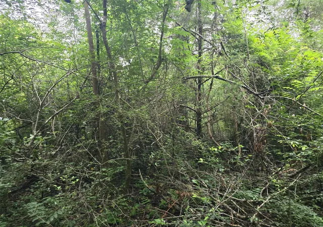 Photo 3 of Land for sale at 1069 Conestoga Trl, Livingston, TX 77351 | MLS# 71291088 | Listing updated on 2026-05-09