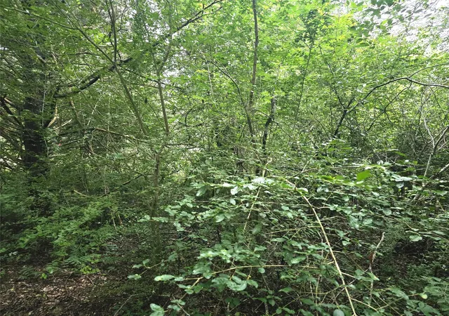 Photo 4 of Land for sale at 1069 Conestoga Trl, Livingston, TX 77351 | MLS# 71291088 | Listing updated on 2026-05-09