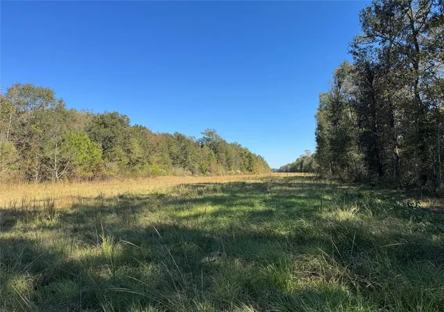 Photo 2 of Land for sale at 0 County Rd 401, Dayton, TX 77535 | MLS# 79183767 | Listing updated on 2026-08-21