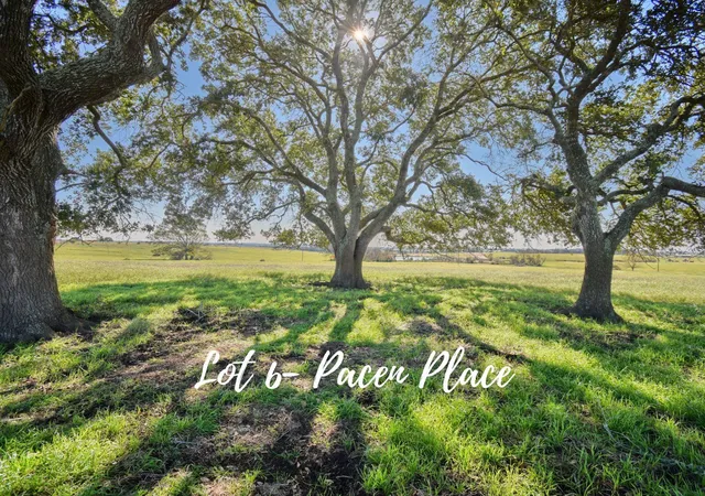 Land for sale at Tbd 6 Pacen Pl, Chappell Hill, TX 77426 | MLS# 5665450