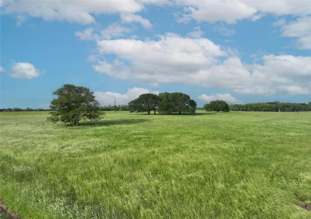 Photo 3 of Land for sale at Tbd 6 Pacen Pl, Chappell Hill, TX 77426 | MLS# 5665450 | Listing updated on 2025-12-16