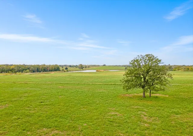 Photo 3 of Land for sale at 0000 Armstrong Derry Rd, Flatonia, TX 78941 | MLS# 54637455 | Listing updated on 2026-07-10