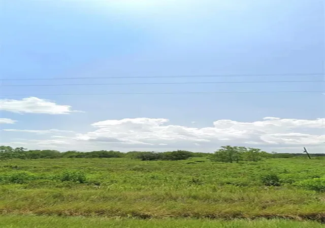 Photo 1 of Land for sale at 14153 Hamshire Rd, Hamshire, TX 77622 | MLS# 76129220 | Listing updated on 2026-05-19