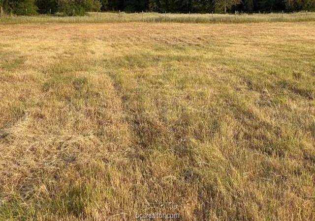 Photo 2 of Land for sale at 1290 Gun Range Rd, Somerville, TX 77879 | MLS# 37326151 | Listing updated on 2026-06-25