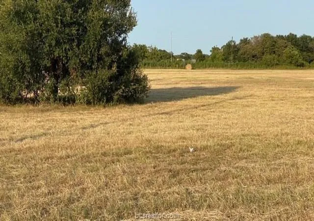 Photo 3 of Land for sale at 1290 Gun Range Rd, Somerville, TX 77879 | MLS# 37326151 | Listing updated on 2026-06-25