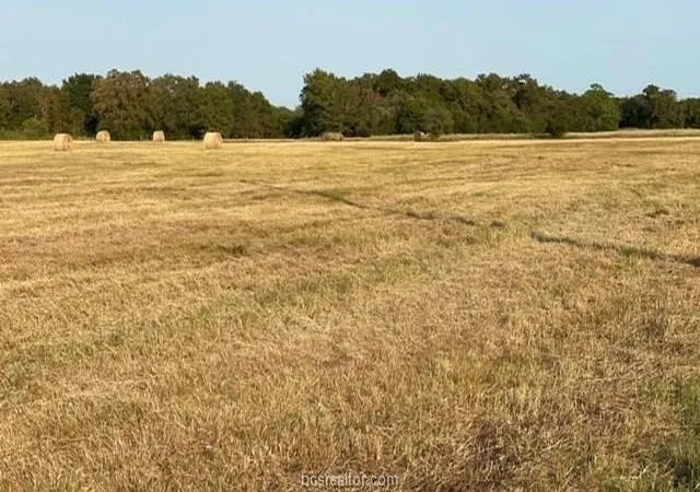 Photo 3 of Land for sale at 1290 Gun Range Rd, Somerville, TX 77879 | MLS# 37326151 | Listing updated on 2026-06-25