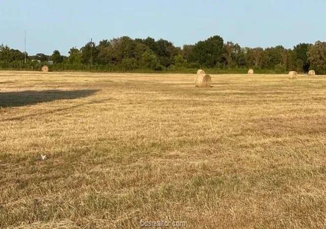 Photo 4 of Land for sale at 1290 Gun Range Rd, Somerville, TX 77879 | MLS# 37326151 | Listing updated on 2026-06-25