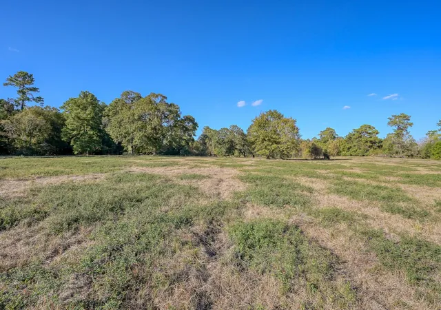 Land for sale at 100 Acres Spring Branch Rd, Montgomery, TX 77316 | MLS# 44465795
