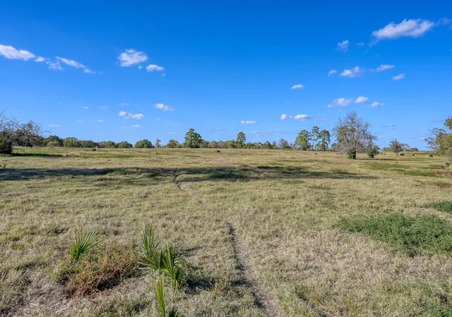 Photo 1 of Land for sale at 100 Acres Spring Branch Rd, Montgomery, TX 77316 | MLS# 44465795 | Listing updated on 2026-05-23