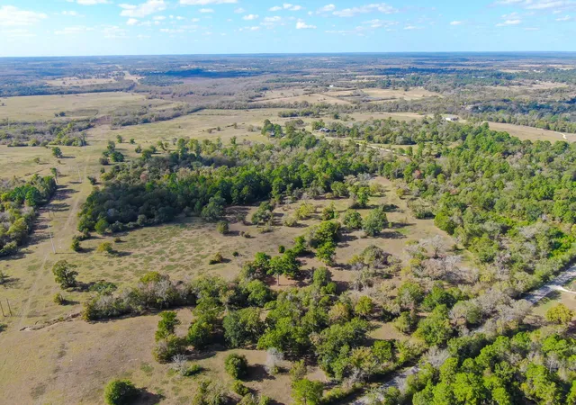 Photo 39 of Land for sale at 100 Acres Spring Branch Rd, Montgomery, TX 77316 | MLS# 44465795 | Listing updated on 2026-05-23