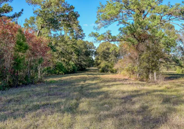 Photo 4 of Land for sale at 100 Acres Spring Branch Rd, Montgomery, TX 77316 | MLS# 44465795 | Listing updated on 2026-05-23