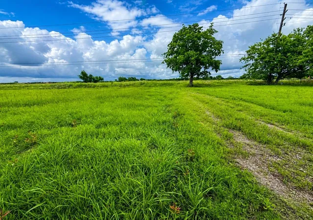 Photo 3 of Land for sale at 14914 Highway 36, Needville, TX 77461 | MLS# 47298816 | Listing updated on 2026-09-09