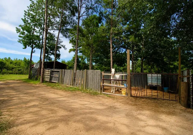 Photo 4 of Single family home for sale at 2111 County Road 3405, Cleveland, TX 77327 | MLS# 55284722 | Listing updated on 2026-10-10