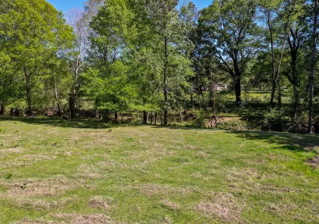 Photo 11 of Land for sale at 0 Black Jack Cemetery Rd, Huntsville, TX 77340 | MLS# 36967099 | Listing updated on 2026-07-23