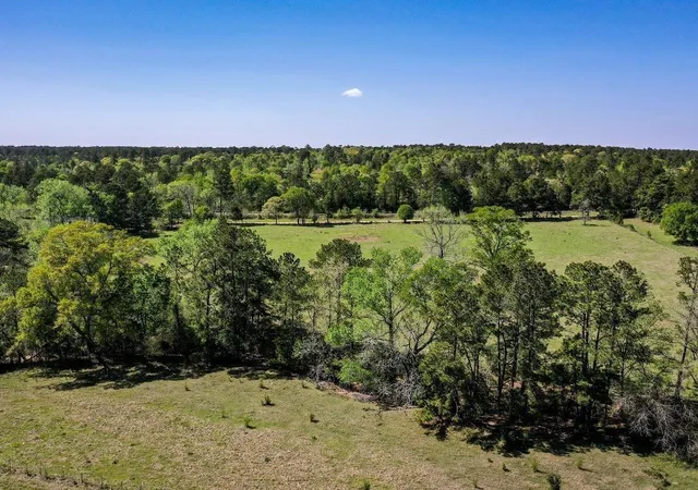 Photo 2 of Land for sale at 0 Black Jack Cemetery Rd, Huntsville, TX 77340 | MLS# 36967099 | Listing updated on 2026-07-23