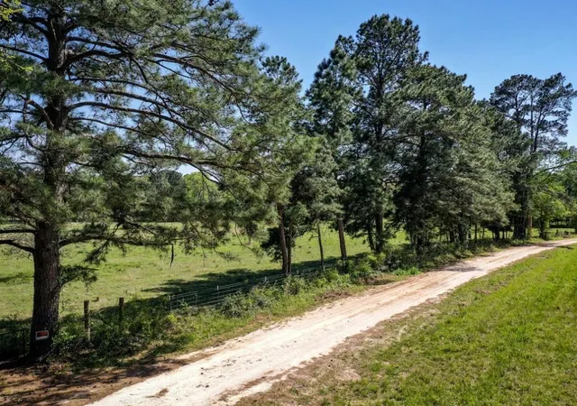 Photo 3 of Land for sale at 0 Black Jack Cemetery Rd, Huntsville, TX 77340 | MLS# 36967099 | Listing updated on 2026-07-23