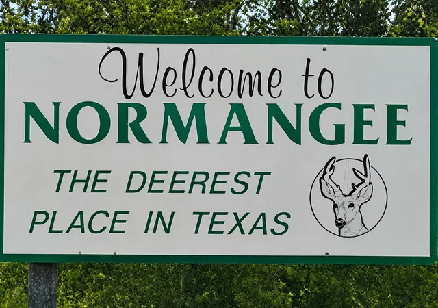 Homes for sale in Normangee, TX | 17046 County Road 457, Normangee, TX 77871 | MLS# 82677914