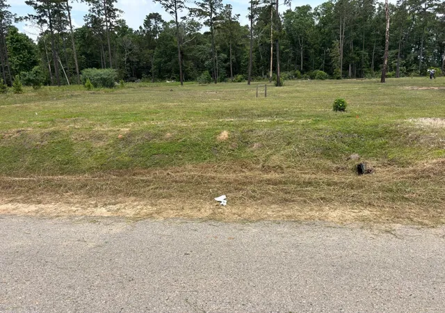 Land for sale at 20039 Kincaid Dr, Conroe, TX 77306 | MLS# 53923798