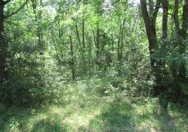 Photo 3 of Land for sale at 385 Noel, Livingston, TX 77351 | MLS# 44432832 | Listing updated on 2026-05-01