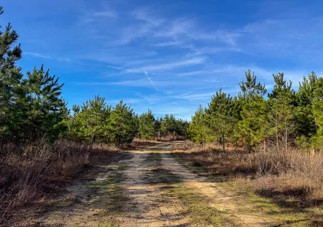 4th image of T-6 County Road 4245, De Kalb, TX 75559 | MLS# 87298651
