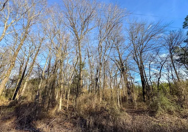 5th image of T-6 County Road 4245, De Kalb, TX 75559 | MLS# 87298651