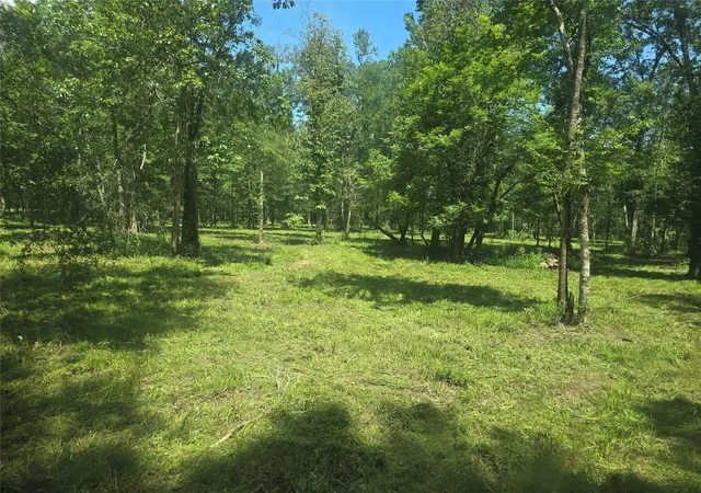 Photo 12 of Land for sale at Tbd Tymel Ln, Cleveland, TX 77328 | MLS# 77487704 | Listing updated on 2026-08-19