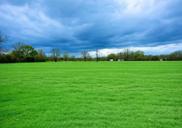 2nd image of Tbd B County Road 2058, Hull, TX 77564 | MLS# 50179671
