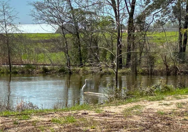 2nd image of Tbd Kurth Dr, Lufkin, TX 75904 | MLS# 95112786