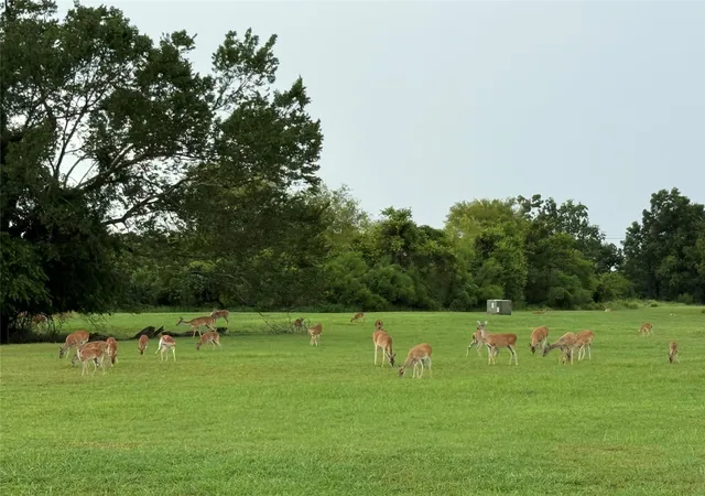 Photo 8 of Land for sale at 302 Lakeland Cir, Rosharon, TX 77583 | MLS# 67443758 | Listing updated on 2026-07-14