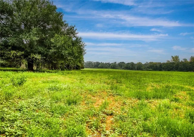 2nd image of 10610 County Road 322, Caldwell, TX 77836 | MLS# 72509655