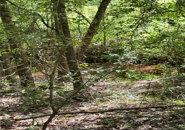 19th image of Tbd County Road 4030, Crockett, TX 75835 | MLS# 64258837