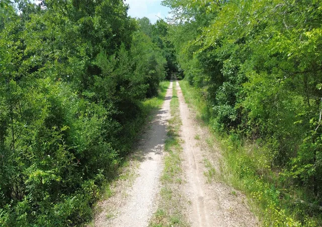 2nd image of Tbd County Road 4030, Crockett, TX 75835 | MLS# 64258837
