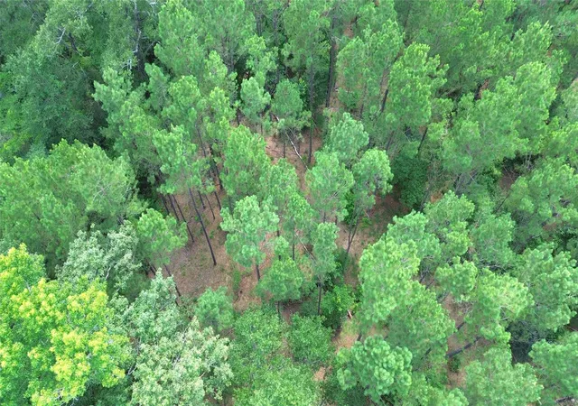 4th image of Tbd County Road 4030, Crockett, TX 75835 | MLS# 64258837