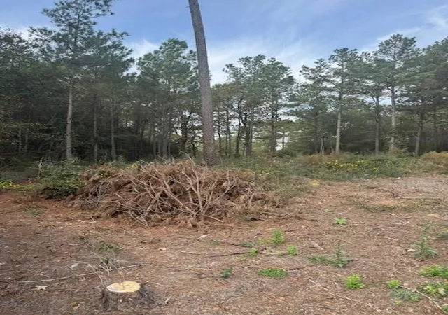 Photo 2 of Land for sale at 0 Basswood Ln, Plantersville, TX 77363 | MLS# 81917827 | Listing updated on 2025-11-21