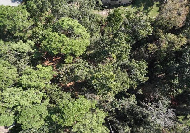 5th image of 4242 Starling Stream Dr, Spring, TX 77386 | MLS# 16575966