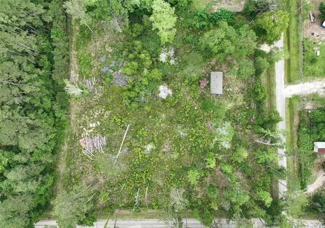 1st image of 0 Leona Ln, Shepherd, TX 77371 | MLS# 69294280