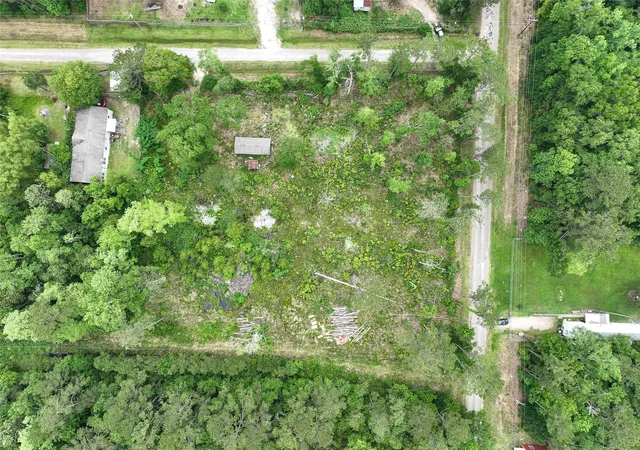 2nd image of 0 Leona Ln, Shepherd, TX 77371 | MLS# 69294280