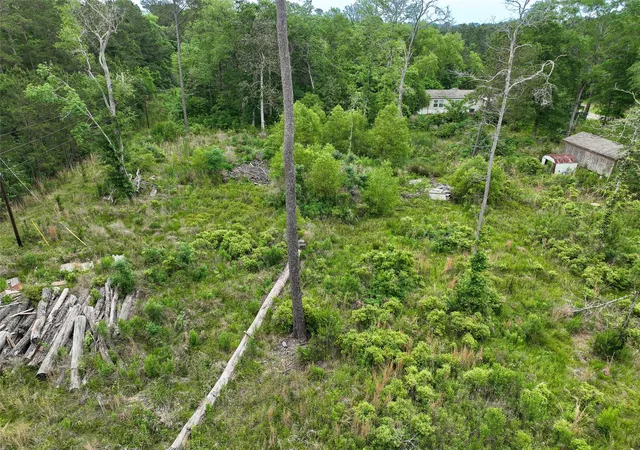 6th image of 0 Leona Ln, Shepherd, TX 77371 | MLS# 69294280