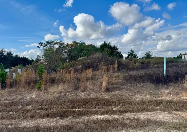 Photo 3 of Land for sale at 1035 Road 5704, Cleveland, TX 77327 | MLS# 55225195 | Listing updated on 2026-05-01