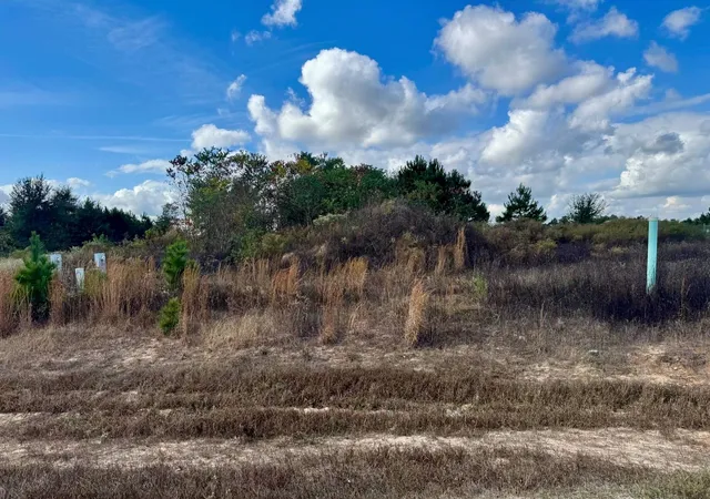 Photo 3 of Land for sale at 1035 Road 5704, Cleveland, TX 77327 | MLS# 55225195 | Listing updated on 2026-05-01