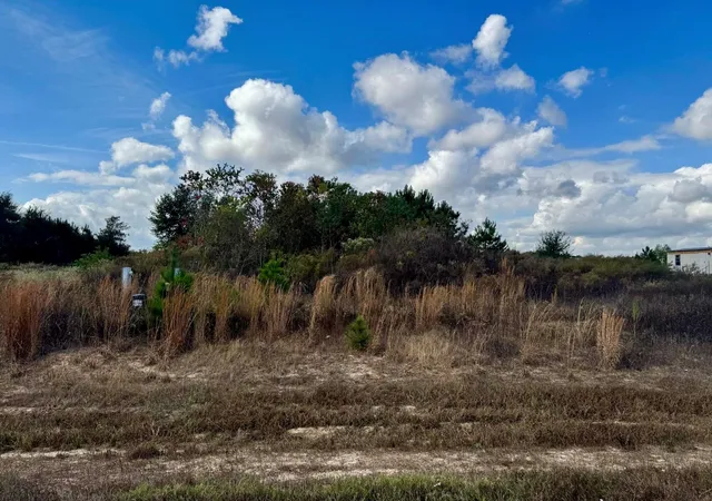 Photo 4 of Land for sale at 1035 Road 5704, Cleveland, TX 77327 | MLS# 55225195 | Listing updated on 2026-05-01