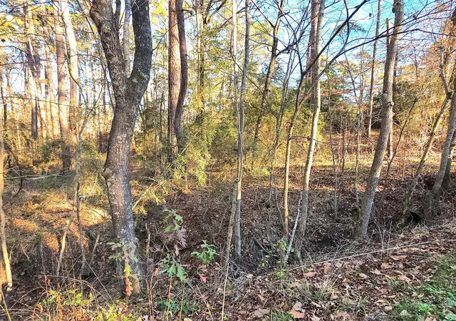 3rd image of Tbd Governor Wood Dr, Point Blank, TX 77364 | MLS# 23844224
