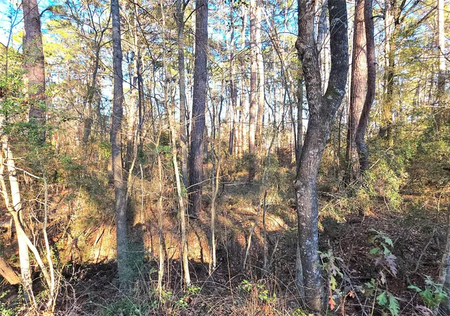 4th image of Tbd Governor Wood Dr, Point Blank, TX 77364 | MLS# 23844224