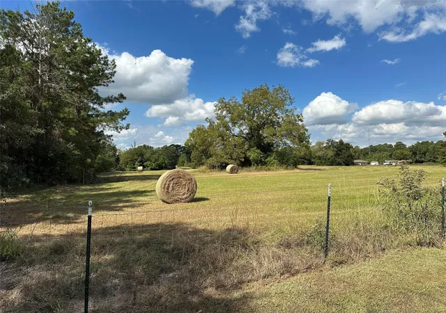 Photo 1 of Land for sale at 11 Ac W Danville Rd, Willis, TX 77318 | MLS# 50655214 | Listing updated on 2025-12-05