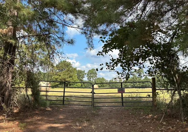Photo 3 of Land for sale at 11 Ac W Danville Rd, Willis, TX 77318 | MLS# 50655214 | Listing updated on 2025-12-05