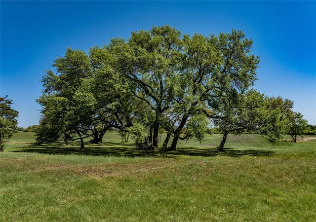 Homes for sale in Round Top, TX | Tbd W Fm 1291, Round Top, TX 78954 | MLS# 32493901