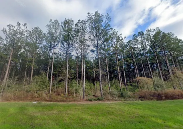 Photo 3 of Land for sale at 16010 Forest Ml Rd, Willis, TX 77378 | MLS# 71409528 | Listing updated on 2026-09-10