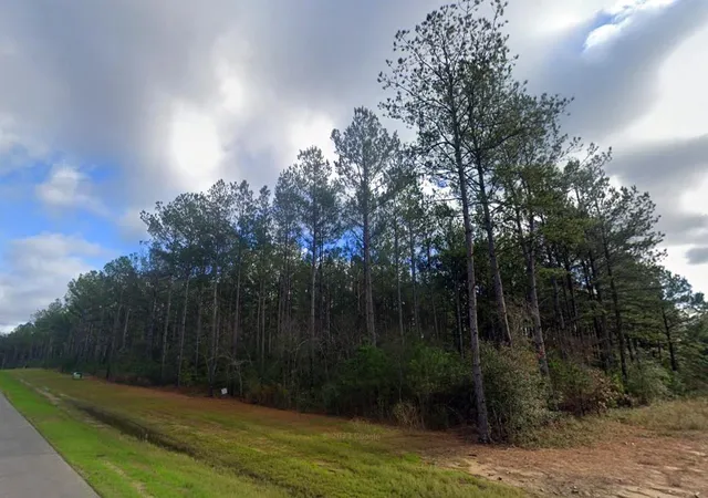 Photo 4 of Land for sale at 16010 Forest Ml Rd, Willis, TX 77378 | MLS# 71409528 | Listing updated on 2026-09-10