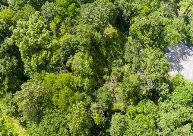 Photo 3 of Land for sale at 0 Marina Dr, Kingwood, TX 77339 | MLS# 37984221 | Listing updated on 2026-08-18